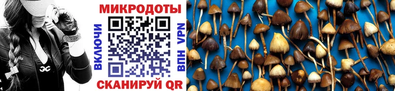 Галлюциногенные грибы ЛСД  купить наркотики цена  Саянск 