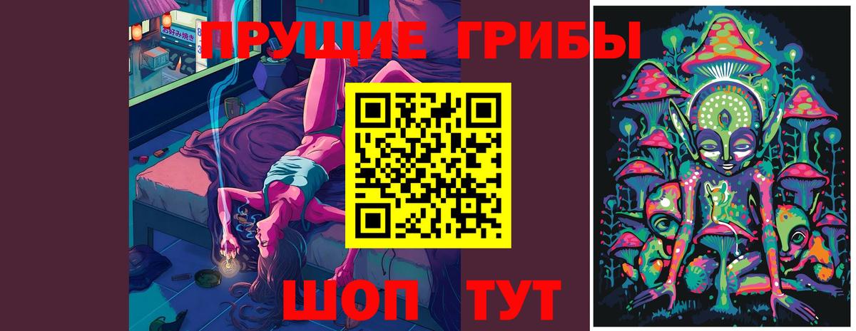 Саянск  Галлюциногенные грибы прущие грибы  Вход с VPN 