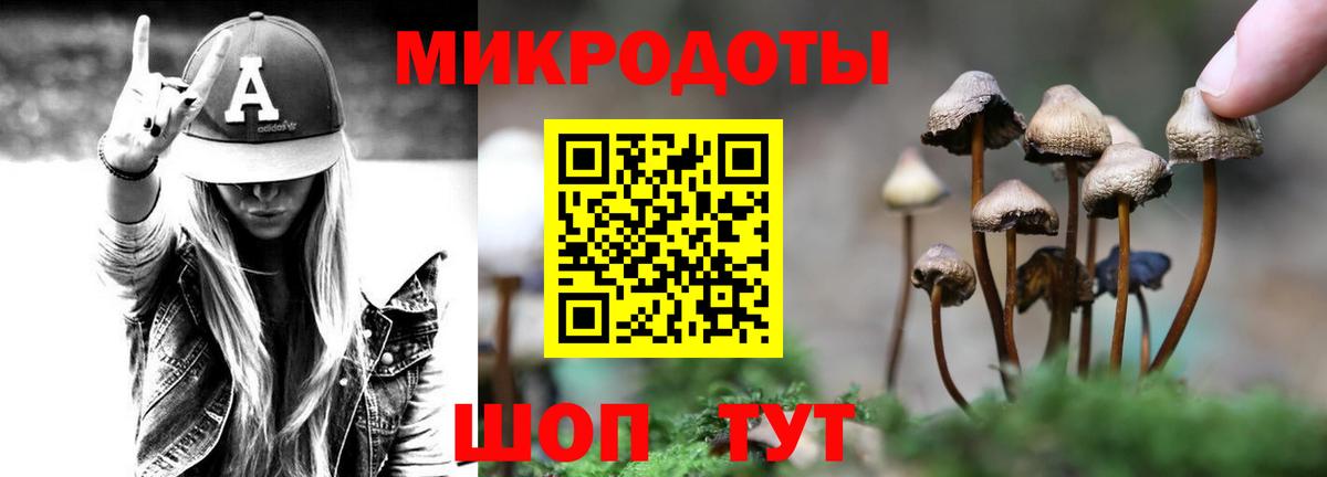 Псилоцибиновые грибы GOLDEN TEACHER Саянск
